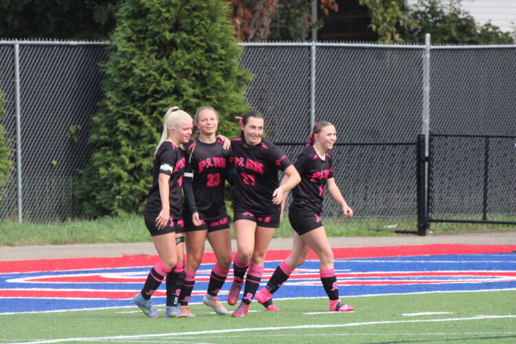 Wheeling Park Girls Dominant In Playoff Outing vs. Preston